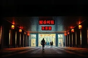 玻璃温室剧照：温室顶部钢架与透下来的光